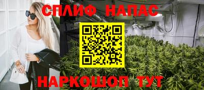 твердый Бийск