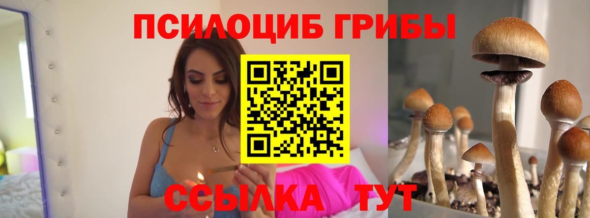 Галлюциногенные грибы мухоморы  цена   Кировск  Вход с VPN 